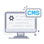 CMS Development