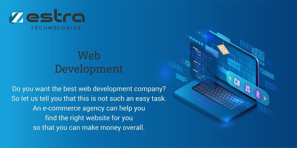 How to find the right web development company for your niche product | Zestra