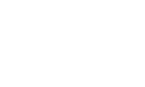 The Nine Line
